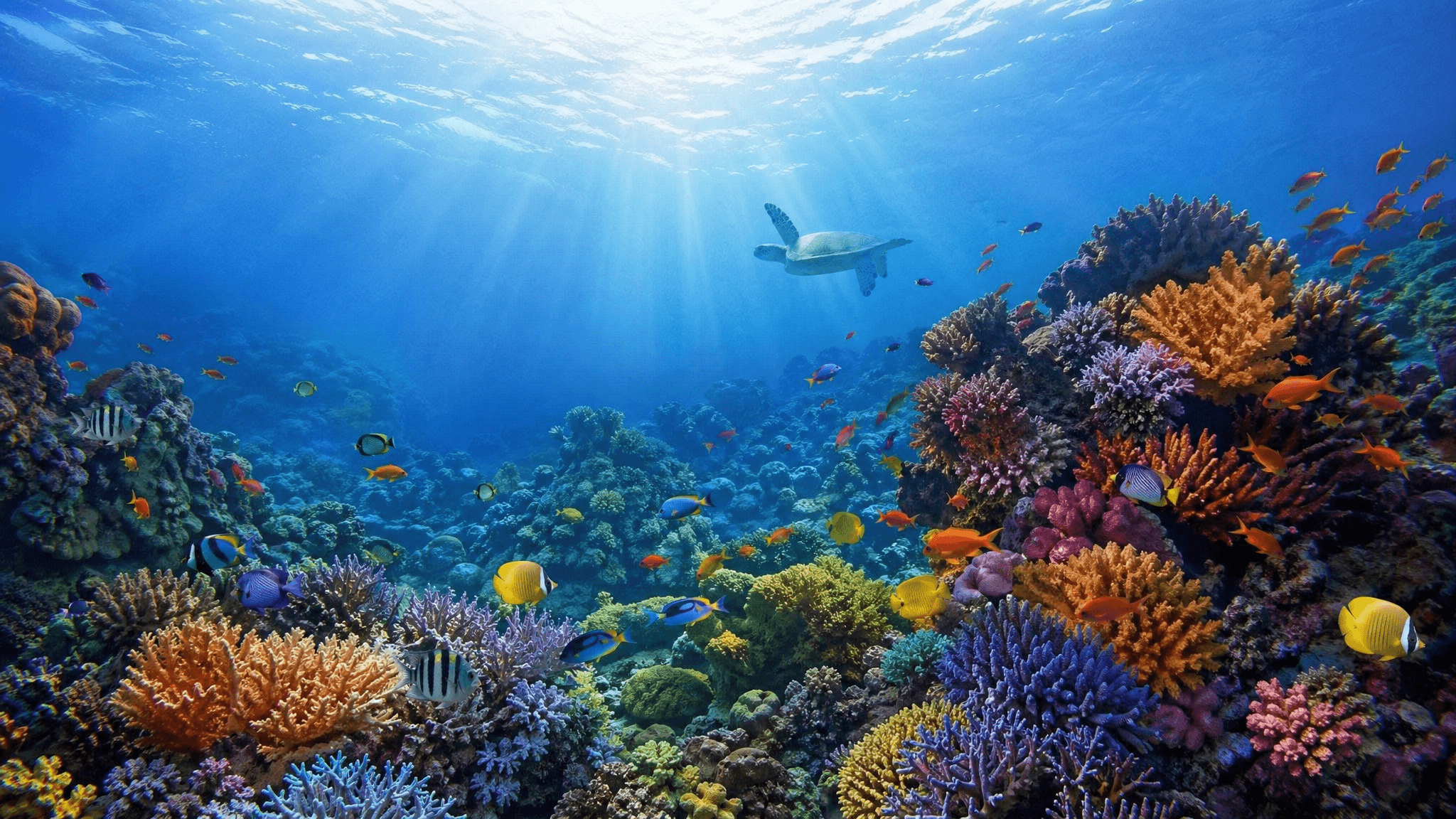 深海水下世界