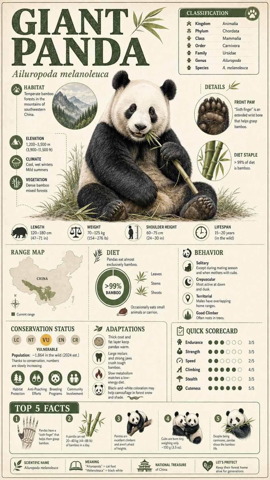 百科图鉴信息卡